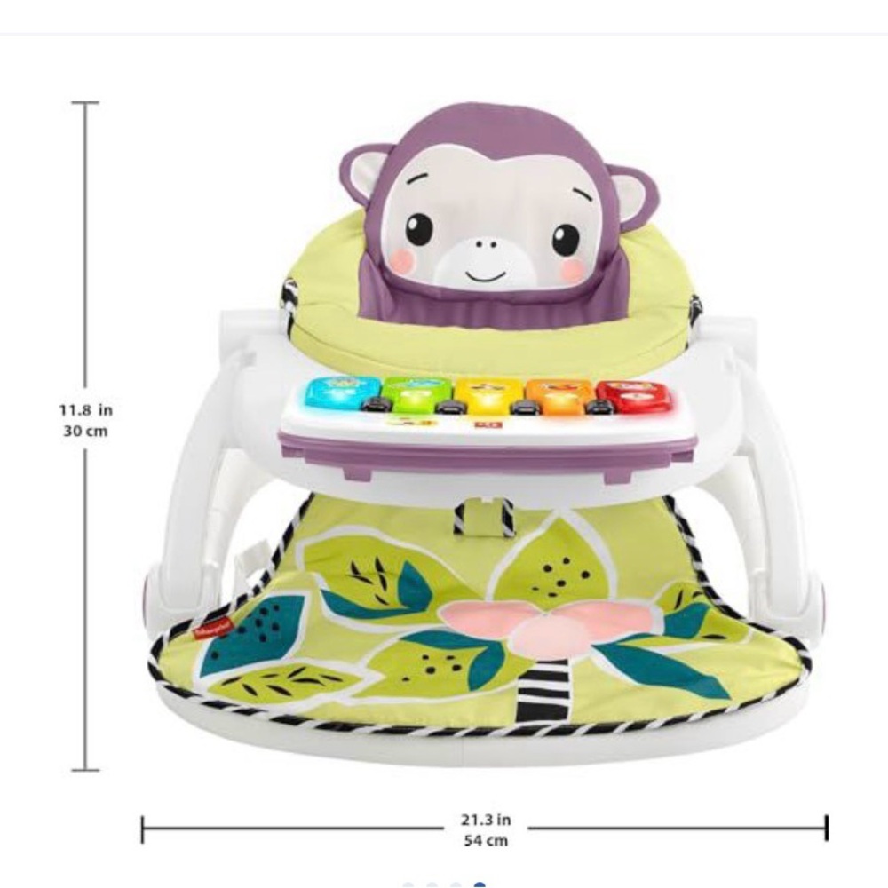 Fisher-Price Colorful Monkey Activity Toy